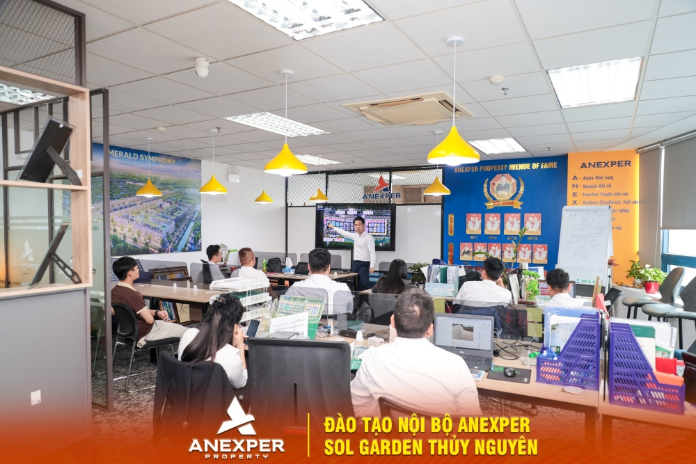 Anexper đào tạo dự án Sol Garden: Nâng tầm tư duy giải pháp cho đội ngũ chuyên viên